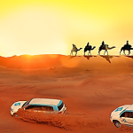 Qatar Desert Safari