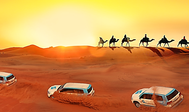 Qatar Desert Safari