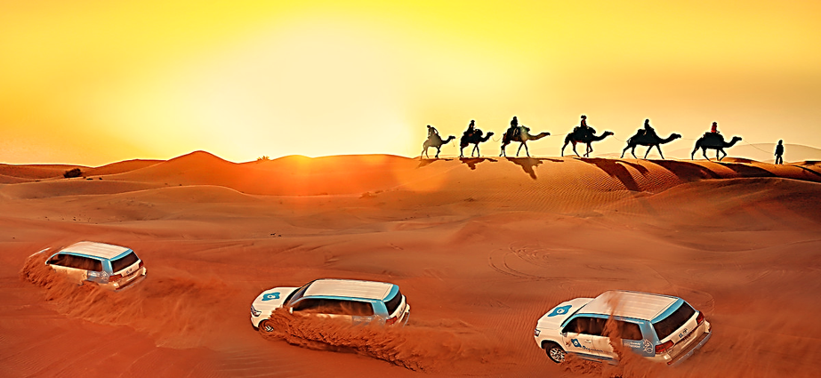 Qatar Desert Safari